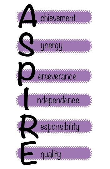 Our values are Resilience, Enthusiasm, Apsirattion, Curiosity, Honesty